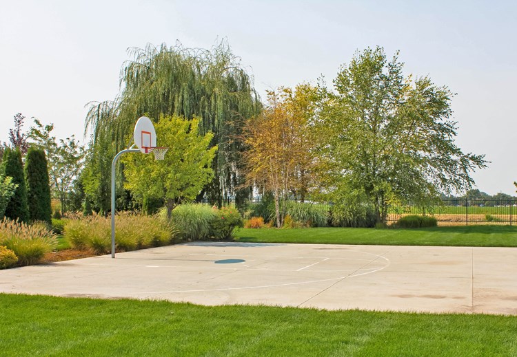 Basket ball court